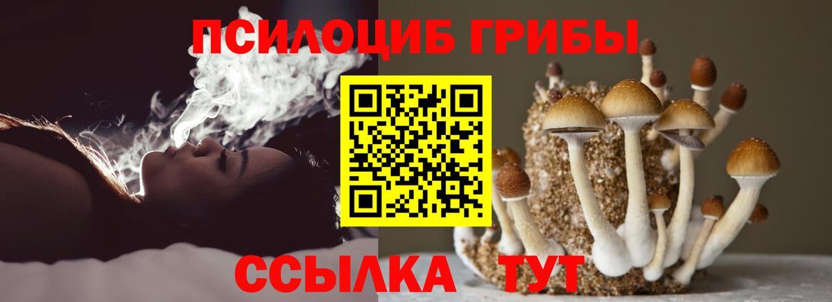 Галлюциногенные грибы Psilocybe  Галлюциногенные грибы Cubensis  Иркутск  Вход с VPN 